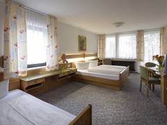 Zimmerbild 3