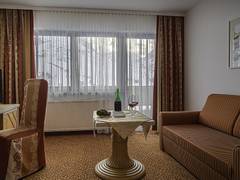 Zimmerbild 6