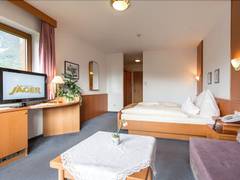 Zimmerbild 7