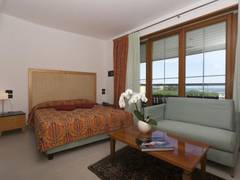 Zimmerbild 4