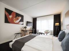 Zimmerbild 12