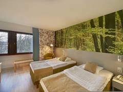 Zimmerbild 10