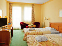 Zimmerbild 6