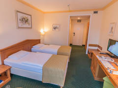 Zimmerbild 7