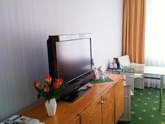 Zimmerbild 8