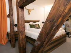 Zimmerbild 12