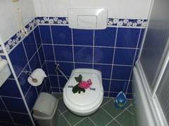 Zimmerbild 2