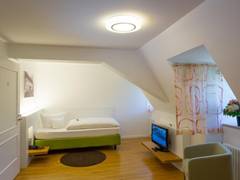 Zimmerbild 2