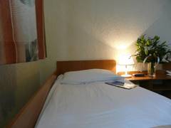 Zimmerbild 12