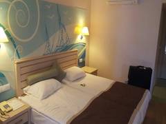 Zimmerbild 11