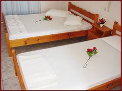 Zimmerbild 7
