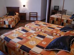 Zimmerbild 6