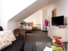 Zimmerbild 8