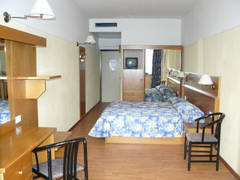 Zimmerbild 8