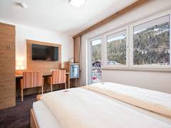 Zimmerbild 6
