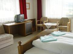 Zimmerbild 13
