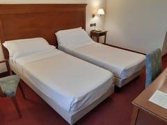 Zimmerbild 6