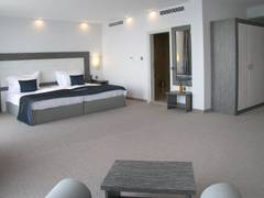 Zimmerbild 33