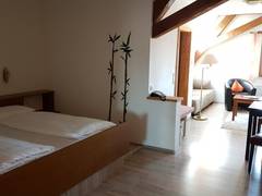 Zimmerbild 3