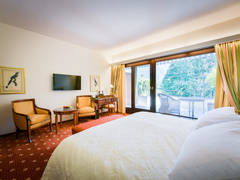 Zimmerbild 9