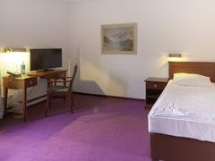 Zimmerbild 9