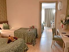 Zimmerbild 11