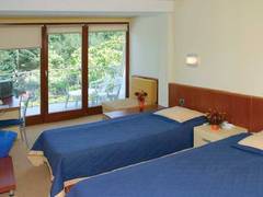 Zimmerbild 27