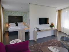 Zimmerbild 3
