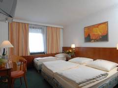 Zimmerbild 23
