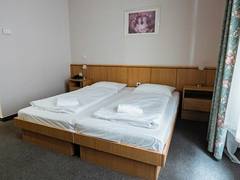 Zimmerbild 37