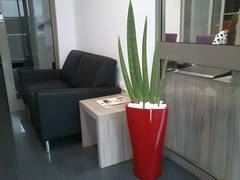 Zimmerbild 11