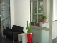Zimmerbild 16