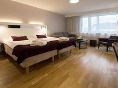 Zimmerbild 46