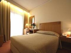 Zimmerbild 12