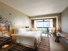 Zimmerbild 11