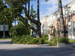 Zimmerbild 12