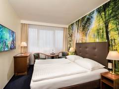 Zimmerbild 13