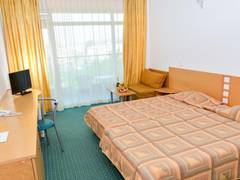 Zimmerbild 13