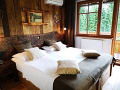 Zimmerbild 11