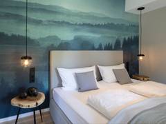 Zimmerbild 15