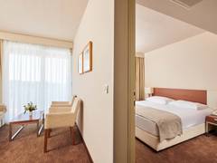 Zimmerbild 14