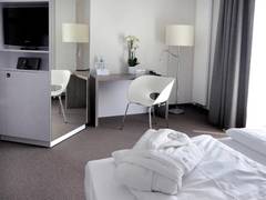 Zimmerbild 8