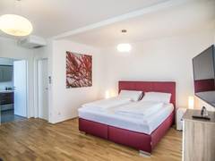 Zimmerbild 9