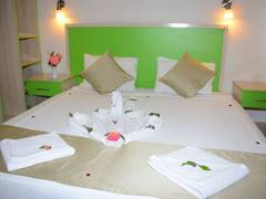 Zimmerbild 7