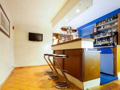 Zimmerbild 9