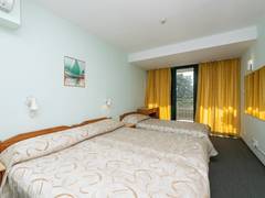 Zimmerbild 8
