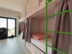 Zimmerbild 15