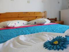 Zimmerbild 5