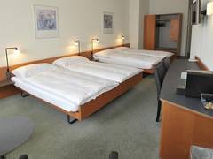 Zimmerbild 17