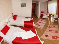 Zimmerbild 7